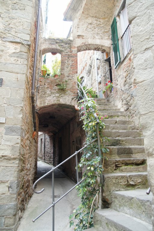 photo12.jpg