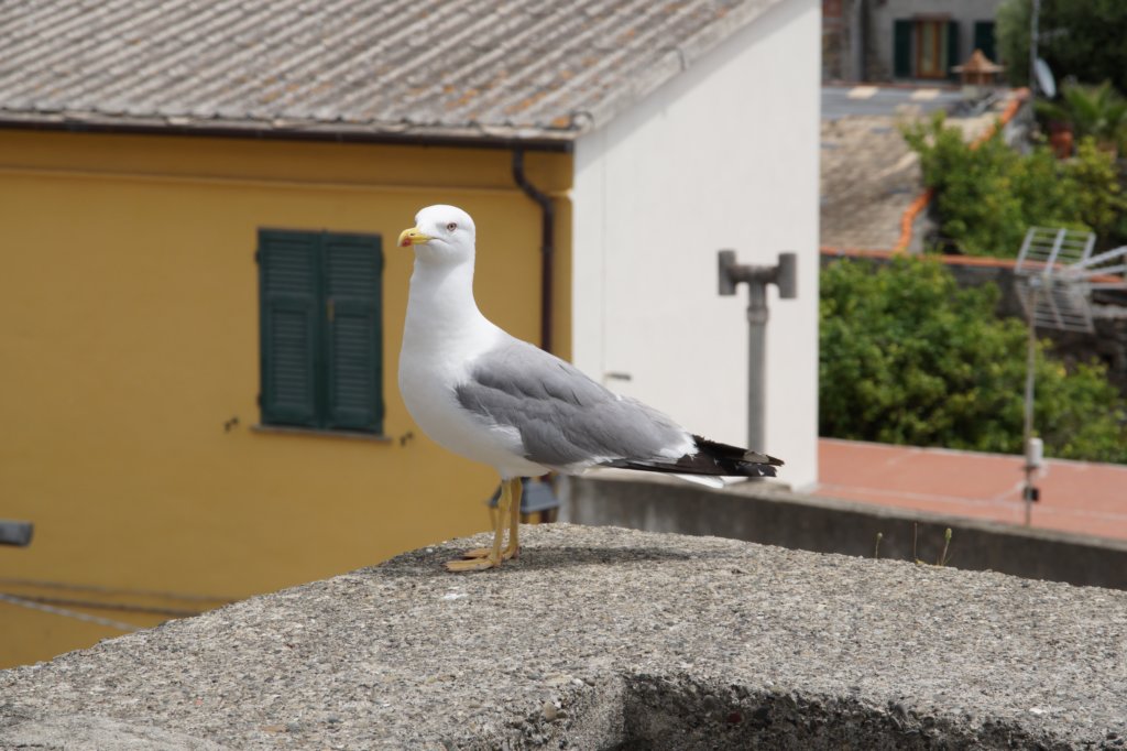 photo14.jpg