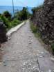 photo15_small.jpg