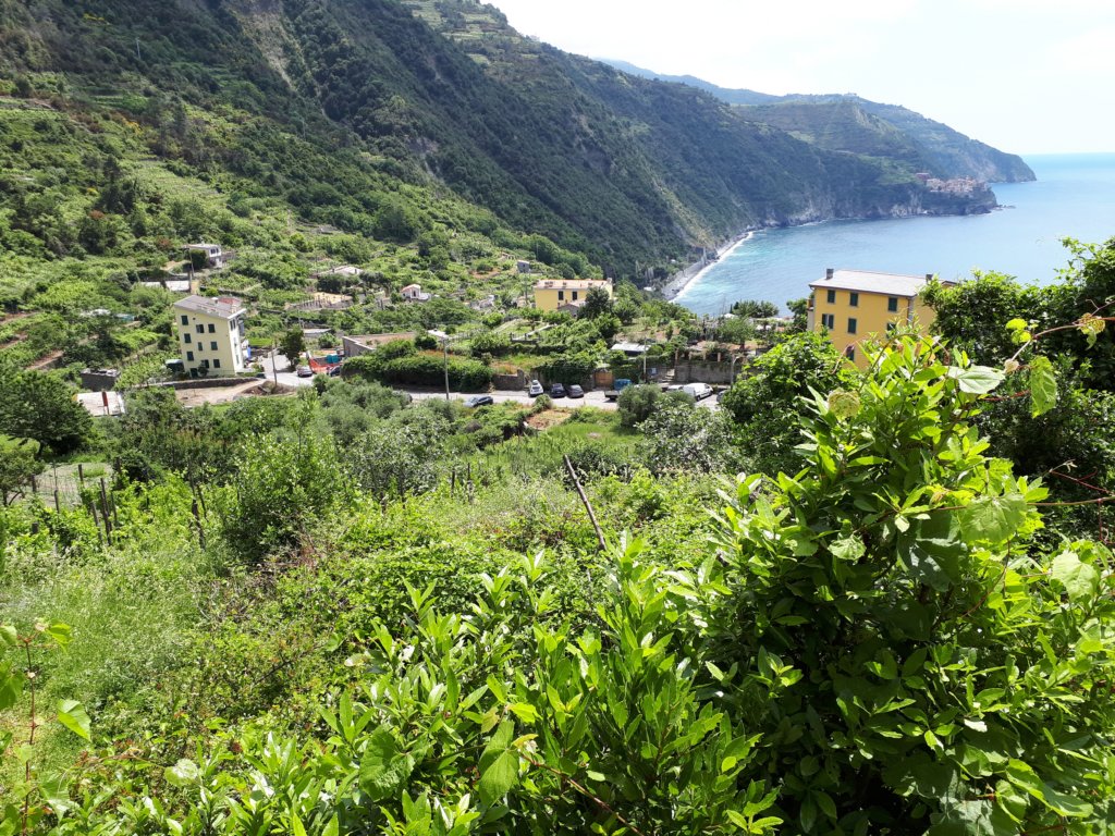 photo16.jpg