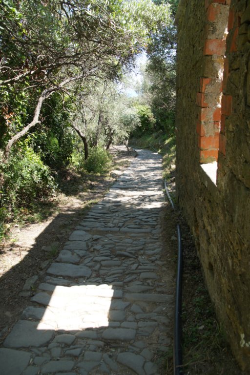 photo20.jpg