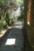 photo20_small.jpg