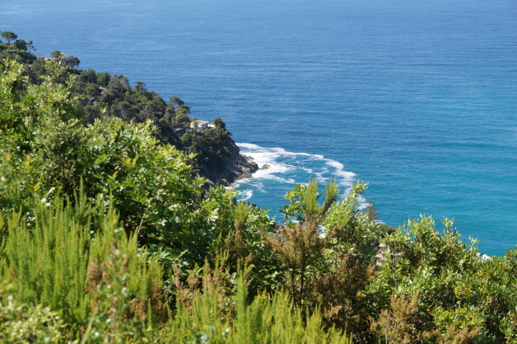 photo12.jpg