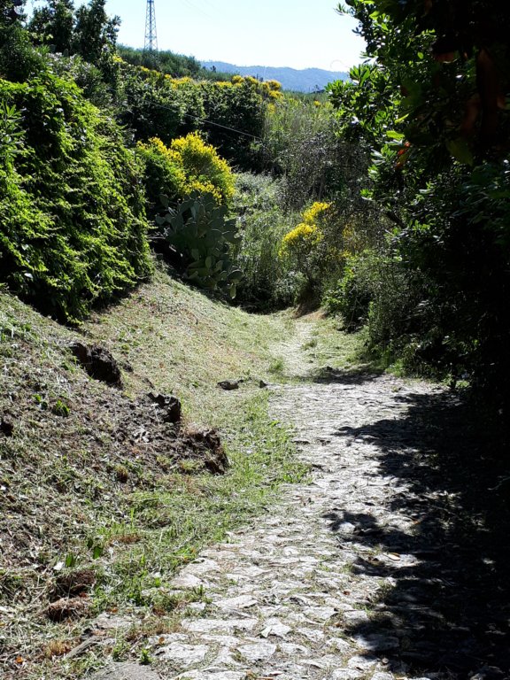photo7.jpg