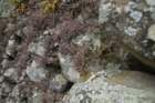 photo15_small.jpg