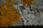 photo17_small.jpg