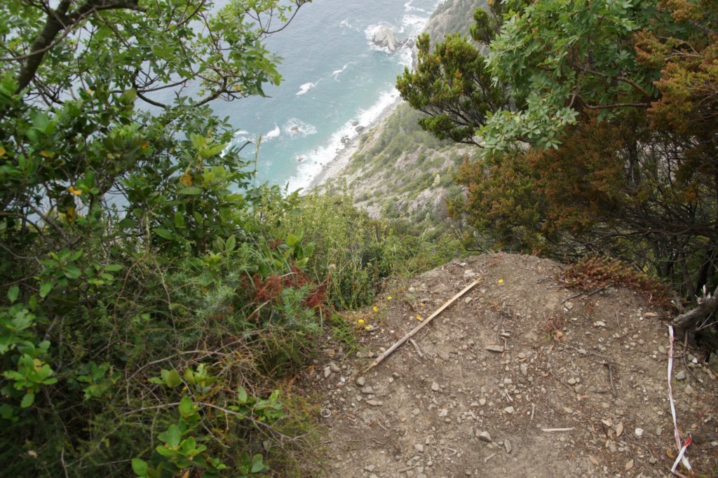 photo19.jpg
