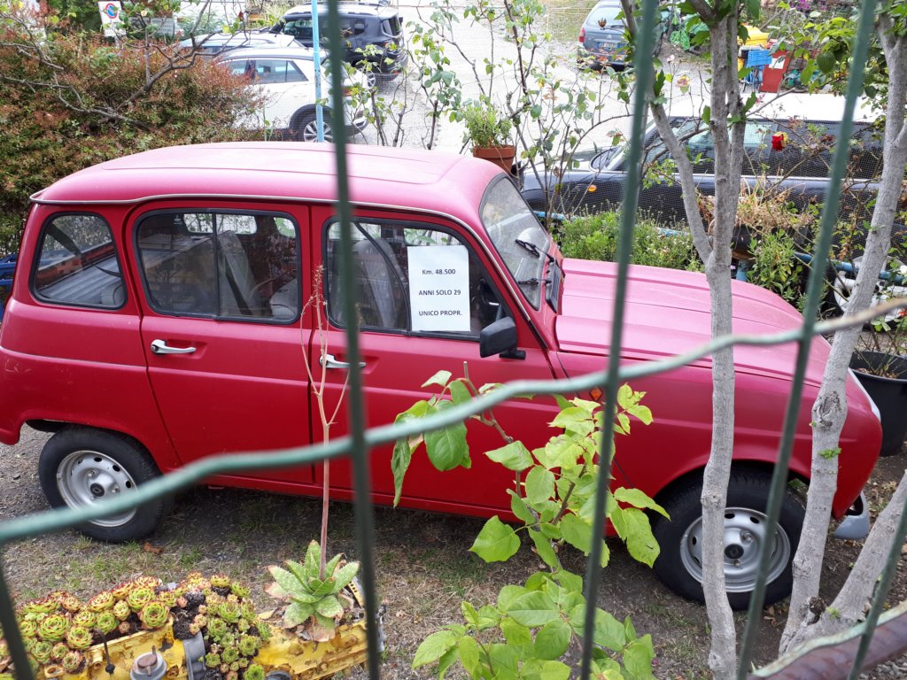photo31.jpg