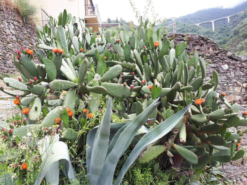 photo10.jpg