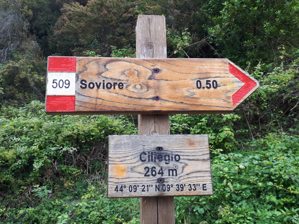 photo13.jpg