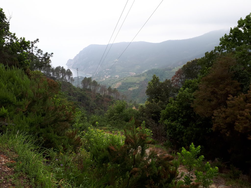 photo14.jpg