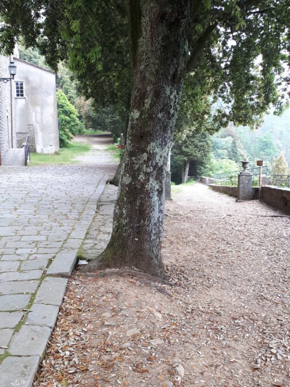 photo20.jpg