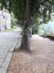 photo20_small.jpg