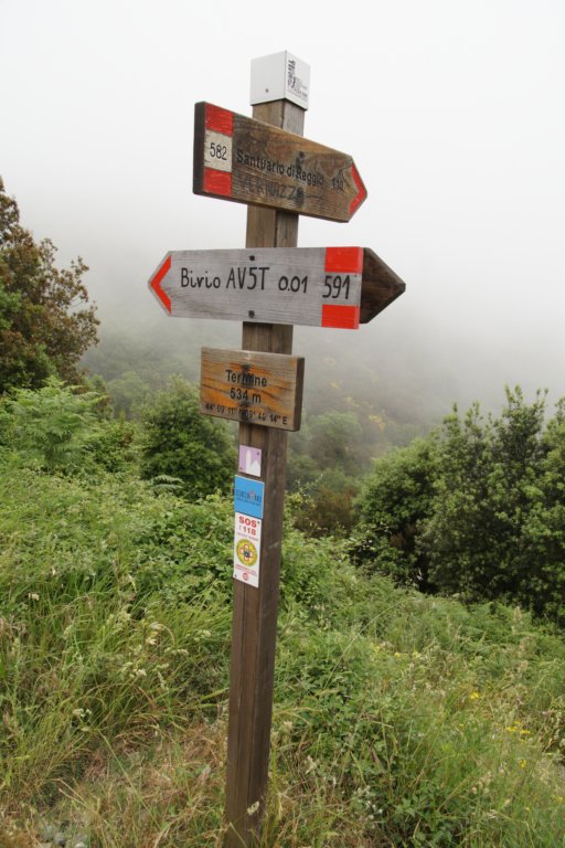photo22.jpg