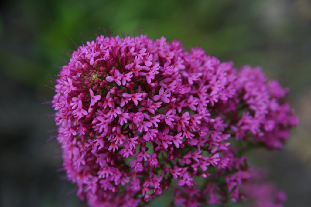 photo23.jpg