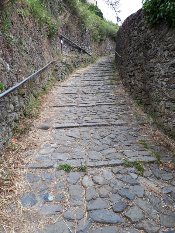 photo9.jpg
